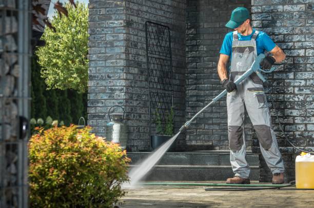 Animal Enclosure Cleaning in Walker Valley, NY